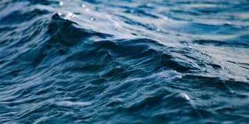 Nytårstorsk og fiskefilet kan på sigt blive en mangelvare