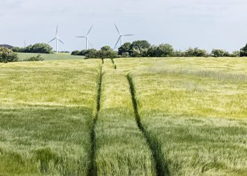 Landbrug & Fødevarer: Høj og ensartet CO2-afgift kan skabe konkursbølge