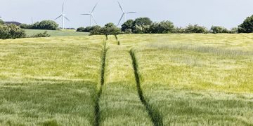 Landbrug & Fødevarer: Høj og ensartet CO2-afgift kan skabe konkursbølge