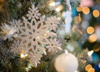 Blå Kors Danmark har åbnet for ansøgninger om julehjælp (2023)