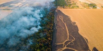 Danish Crown i samarbejde med berygtet kød-gigant JBS