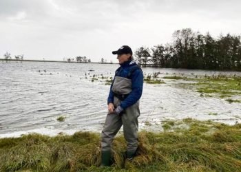 Stormflod: Zoo frygter at alle klokkefrøer er døde