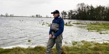 Stormflod: Zoo frygter at alle klokkefrøer er døde