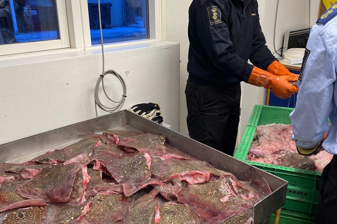 Foto: Fiskeristyrelsen