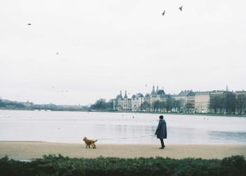Løse hunde skaber utryghed blandt mange danskere