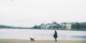 Løse hunde skaber utryghed blandt mange danskere