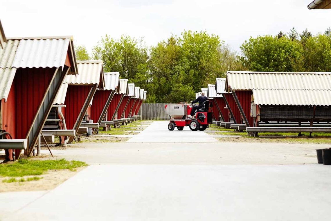 Foto: Bæredygtigt Landbrug